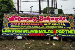 img185 img185